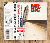 Mr. Big - Actual Size (Японія)