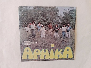 Виа Арніка В Самборі