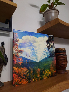 Tame Impala - Innerspeaker [2LP]