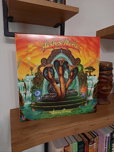 Tash Sultana "Terra Firma"