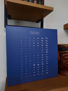 Mammal Hands - Captured Spirits