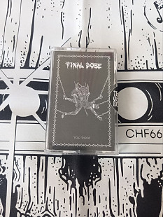 Final Dose - Void Inside (cs, 2023)