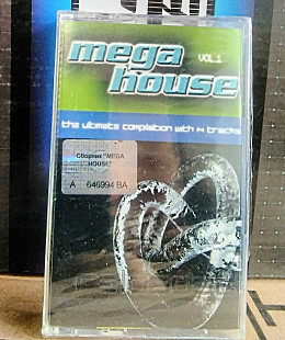 Mega House