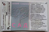 Евгений Слабиков – Сад
