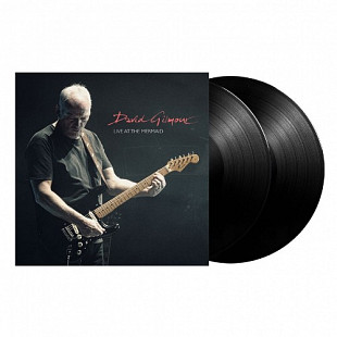 David Gilmour - Live At The Mermaid (Radio Broadcast) (Unofficial Release) (Black Vinyl) (2LP)