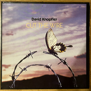 David Knopfler (Dire Straits) – Cut the Wire, Ex, Germany