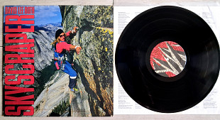 DAVID LEE ROTH ( ex VAN HALEN with Steve Vai ) SKYSCRAPER ( WB 925 671-1 for UK WX 140 A/B 1988
