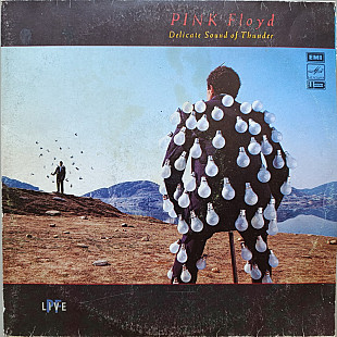 Pink Floyd - Delicate Sound of Thunder (2 LP)