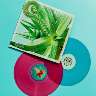 Вінілова платівка LATEXFAUNA - Ajahuaska (Season 1/2) (Transparent Magenta & Turquoise Vinyl) 2lp