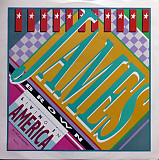 James Brown - Living In America (R 'n' B Extended Mix) (1986) VG+ 12" 45 RPM Single