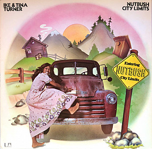 Ike & Tina Turner – Nutbush City Limits