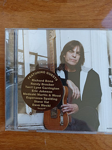 Mike stern big neighborhood