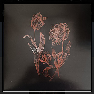 LP Dvne - Cycles of Asphodel