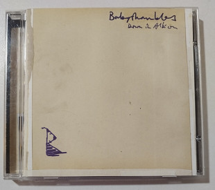 CD BABYSHAMBLES 2005 Down In Albion (UK)