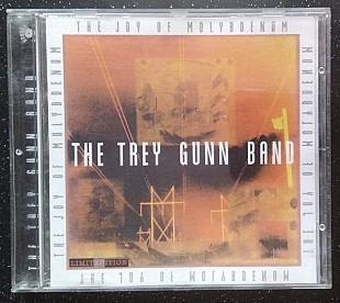 The Trey Gunn Band – The Joy Of Molybdenum