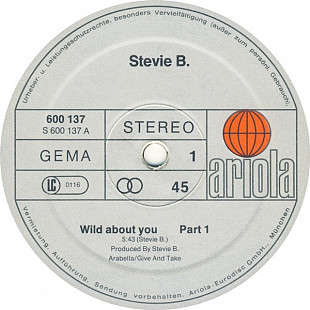Stevie B Wild About You