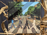 The Beatles – Abbey Road LP 1969/2019 (0602577915123)