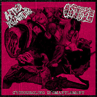 AfterDismantling / Cystgurgle - Cystgurgling Dismantlement (cs, 2026)