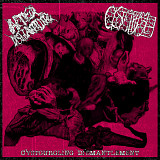 AfterDismantling / Cystgurgle - Cystgurgling Dismantlement (cs, 2026)