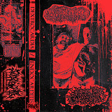 Dextrocardia / Endocarditis - Split (cs, 2026)