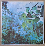 ВИА "Лейся, Песня" 1976 (миньон)