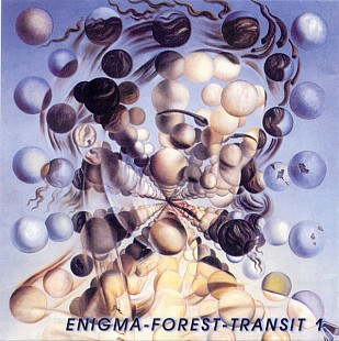Enigma-Forest-Transit 1