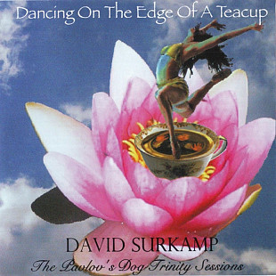 David Surkamp(Pavlov's Dog) –"Dancing On The Edge Of A Teacup"