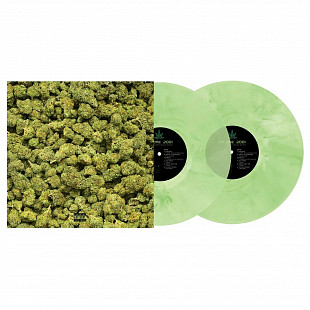 Dr. Dre ‎– 2001 (25th Anniversary Green Marble Translucent Vinyl)