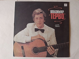 Владимир Терво (гитара)