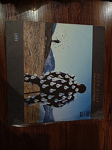Pink Floyd — «Delicate Sound of Thunder»