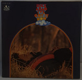 Rick Abao – I've Got It Now LP 12" (Прайс 50200)