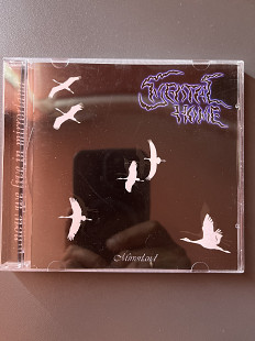 Mental Home - Mirrorland