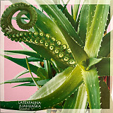 Latexfauna – AJAHUASKA SEASON 1 (LP, Pink Vinyl)