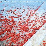 Євген Рогачевський - Разом Назавжди (LP, Album, Vinyl)