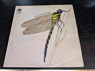 STRAWBS “Dragonfly”