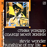 Stevie Wonder - Sunshine Of My Life (1988) VG+
