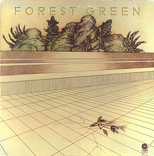 Mint Forest Green – Forest Green