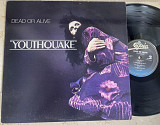 Dead Or Alive – Youthquake ( USA ) LP