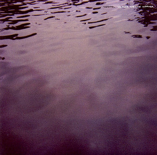 Tarentel – We Move Through Weather ( USA ) Electronic : Experimental, Ambient