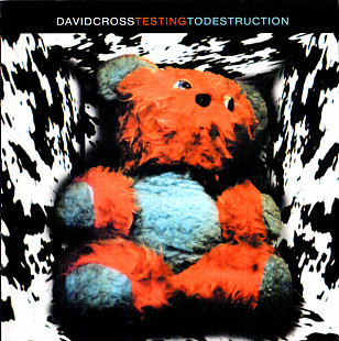 David Cross 1994 Testing To Destruction (Prog Rock)
