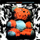 David Cross 1994 Testing To Destruction (Prog Rock)