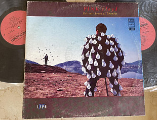 Pink Floyd – Delicate Sound Of Thunder ( 2 x LP )