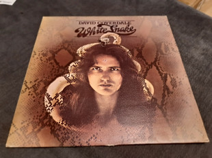 David coverdale/76/whitesnake/purple//UK/ex+/nm-