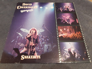 David coverdale/78/snakebite/sunburst/holl/ex/nm-