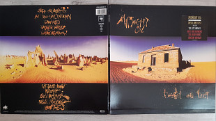 MIDNIGHT OIL DIESEL AND DUST ( CBS 460005-1 A1/B1 ) G/F 1987 HOLLAND