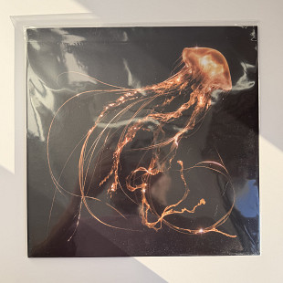 Royal Blood – Back To The Water Below
