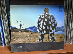 Pink Floyd - Delicate Sound of Thunder