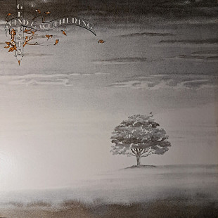 Genesis - Wind & Wuthering (1977) VG+ Vinyl (LP Stereo)