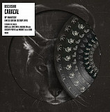 Disclosure - Caracal (Reissue) (Anniversary Edition) (Deluxe Edition) (Limited Editon) (Picture Disc