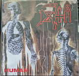 Death – Human